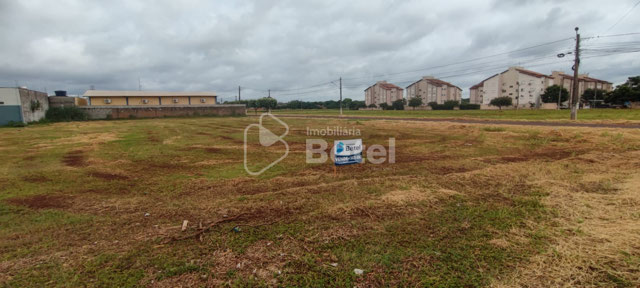 Foto cadastro cód. 1145