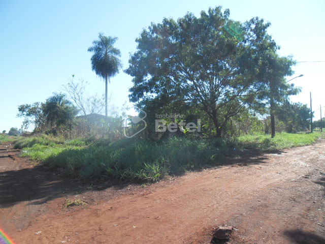 Foto cadastro cód. 1177