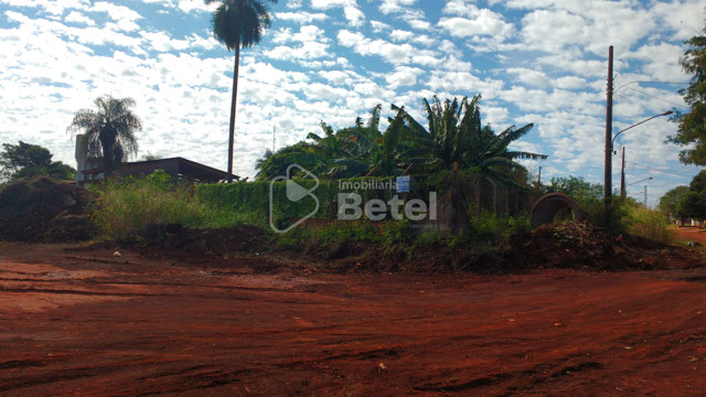 Foto cadastro cód. 1177