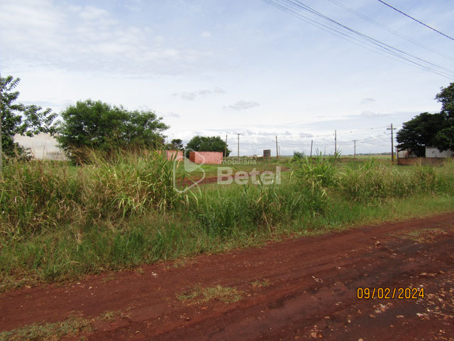 Foto cadastro cód. 1178