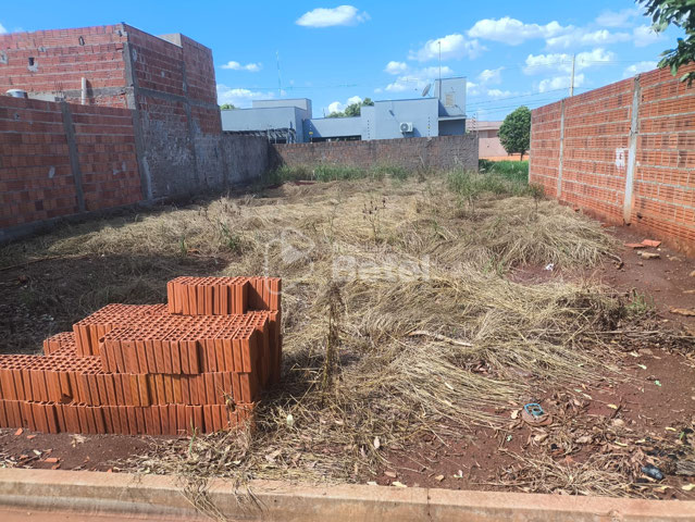 Foto cadastro cód. 1179