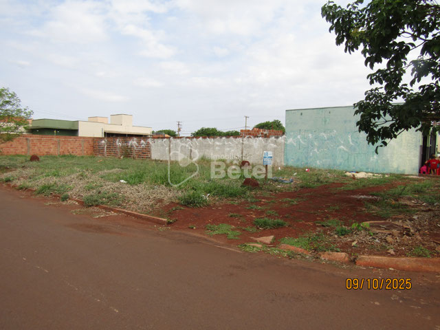 Foto cadastro cód. 1181