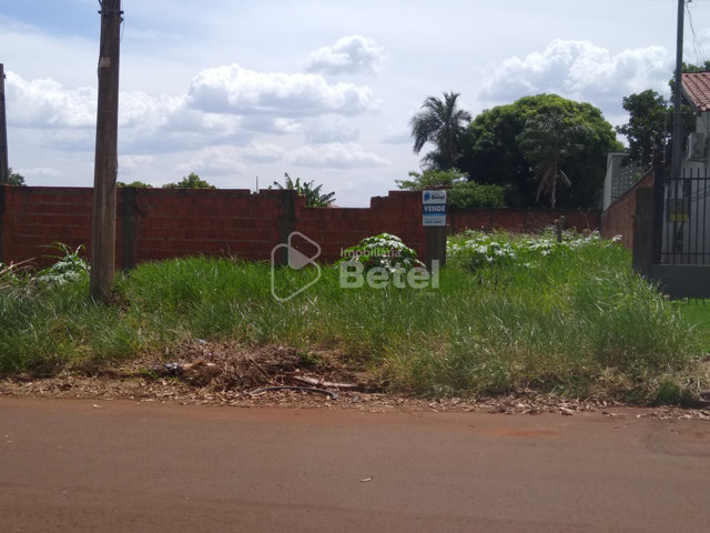 Foto cadastro cód. 1186