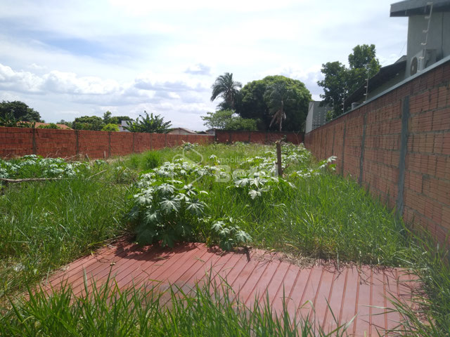 Foto cadastro cód. 1186