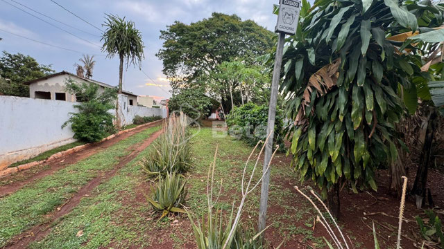 Foto cadastro cód. 1202