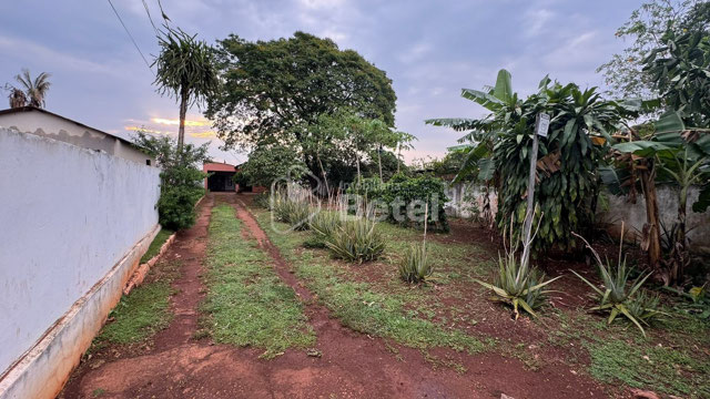 Foto cadastro cód. 1202