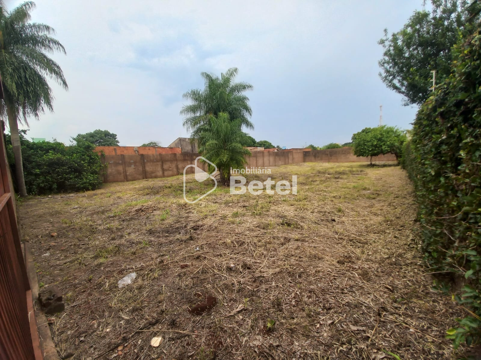 Terreno na Vila Aurora, foto 4 de 5