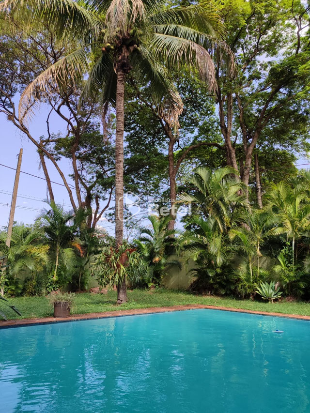 Foto cadastro cód. 294