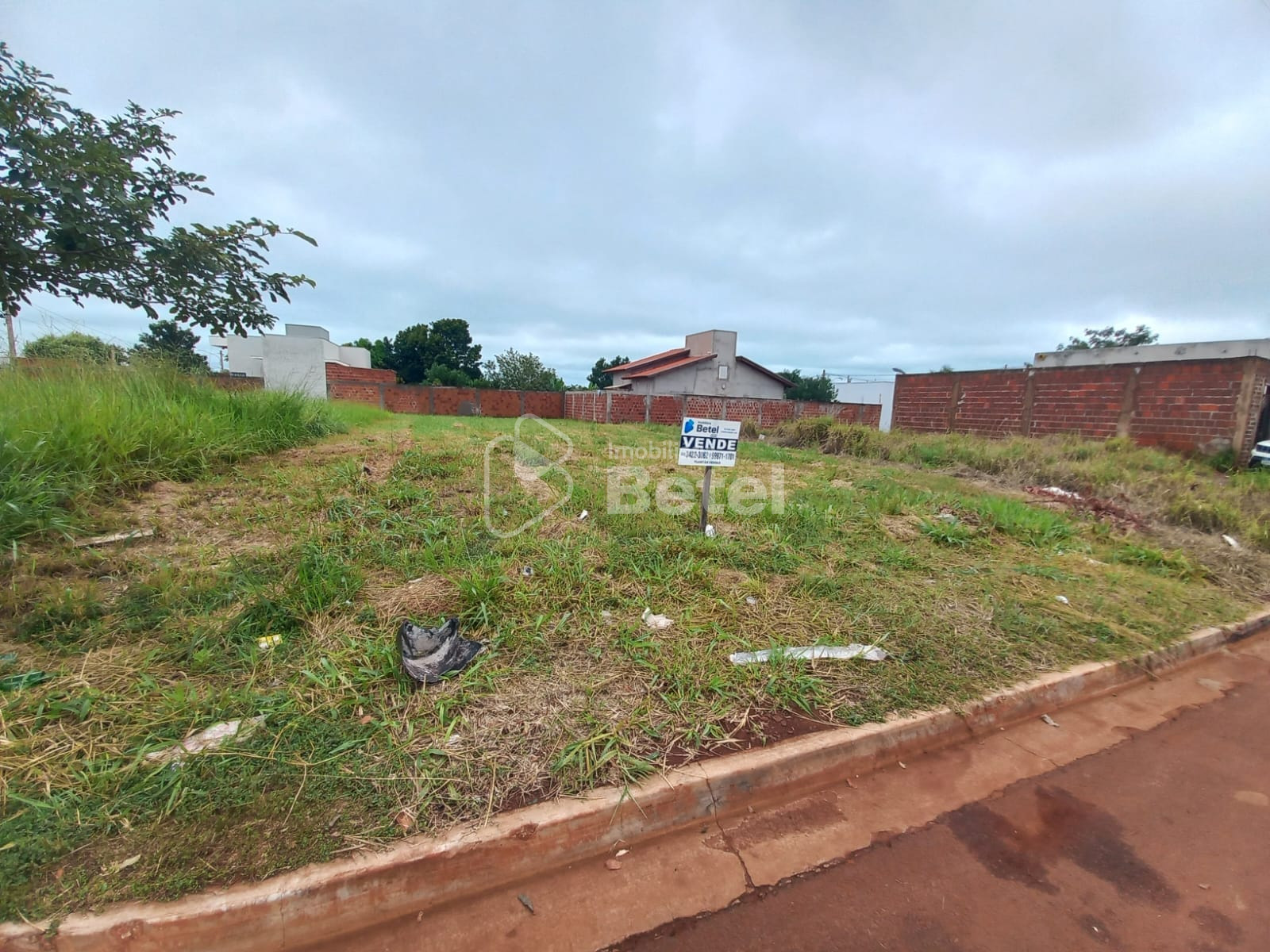 Terreno em Esplanada, foto 1 de 3