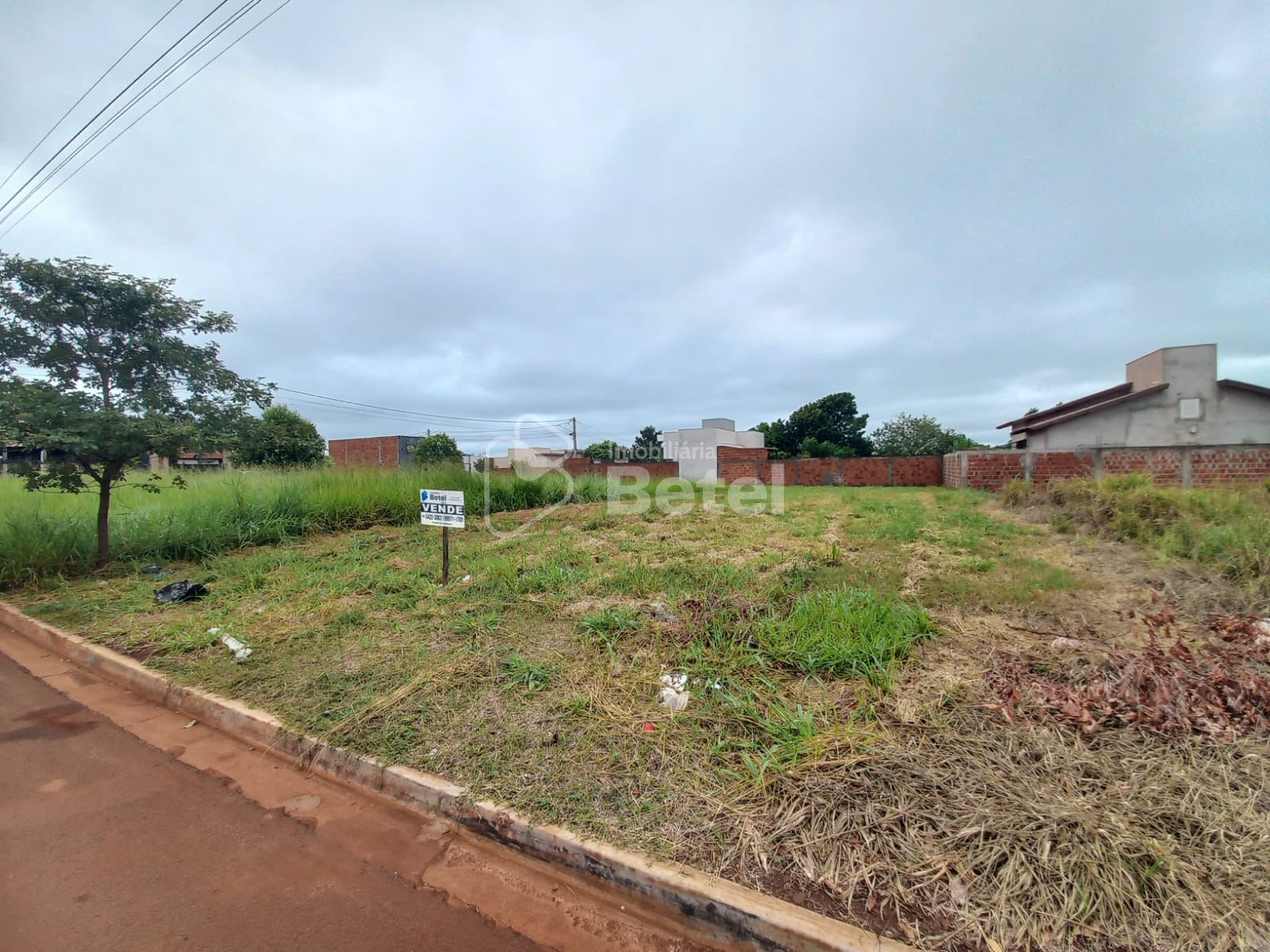 Terreno em Esplanada, foto 2 de 3