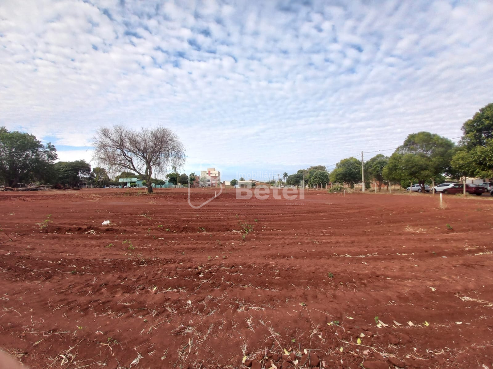 Terreno na Vila Alba, foto 4 de 10