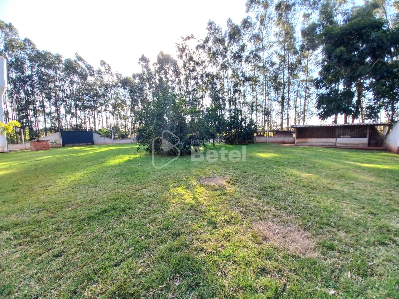 Rural no Parque das Nações II, foto 32 de 36