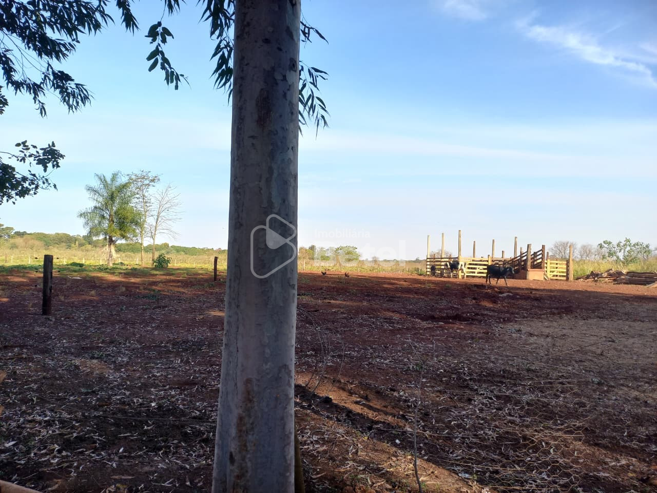 Rural no Parque das Nações II, foto 36 de 36