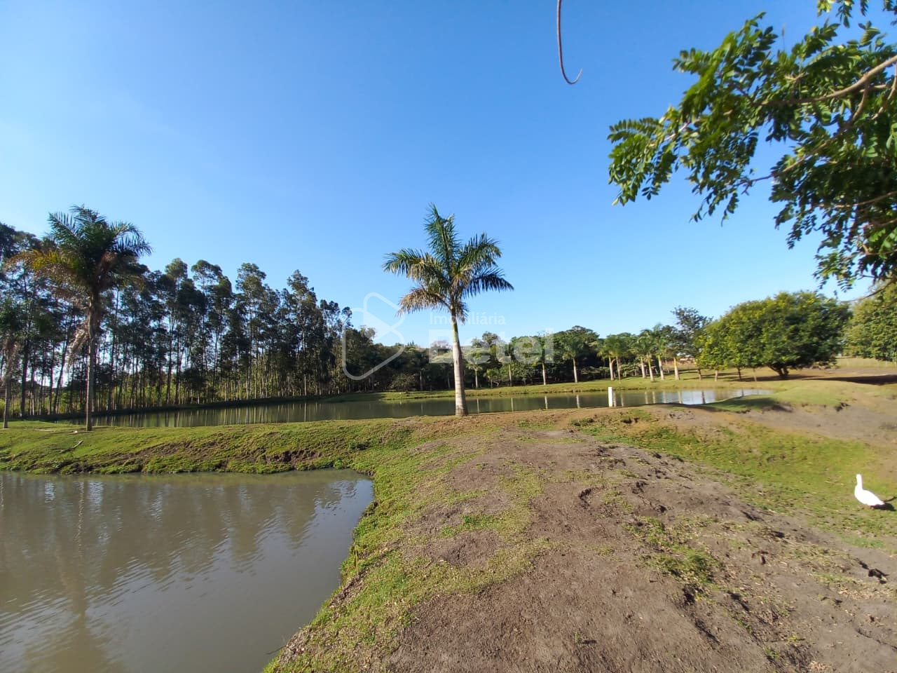 Rural no Parque das Nações II, foto 3 de 36