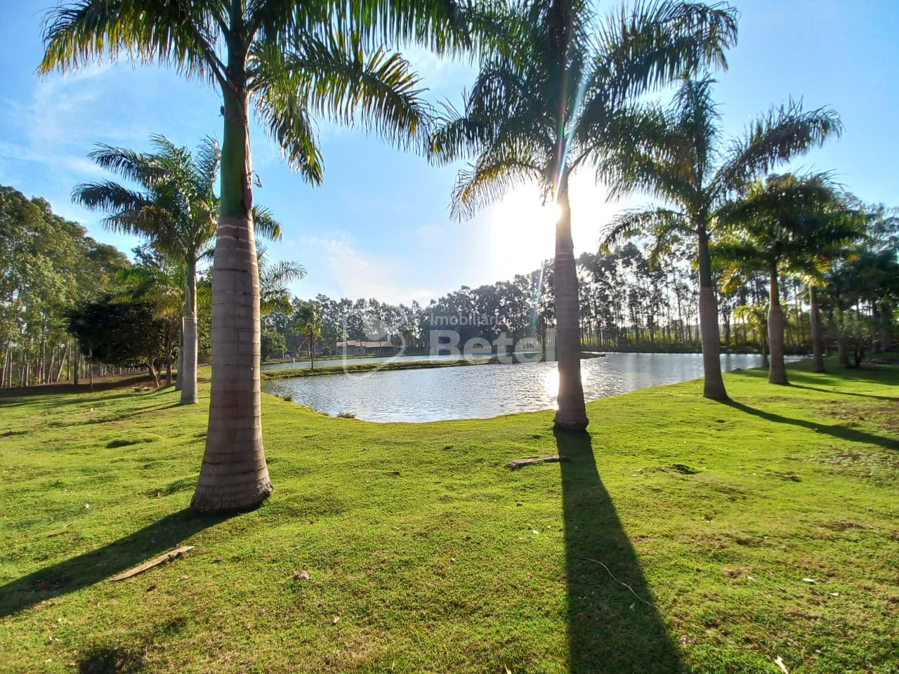 Rural no Parque das Nações II, foto 1 de 36