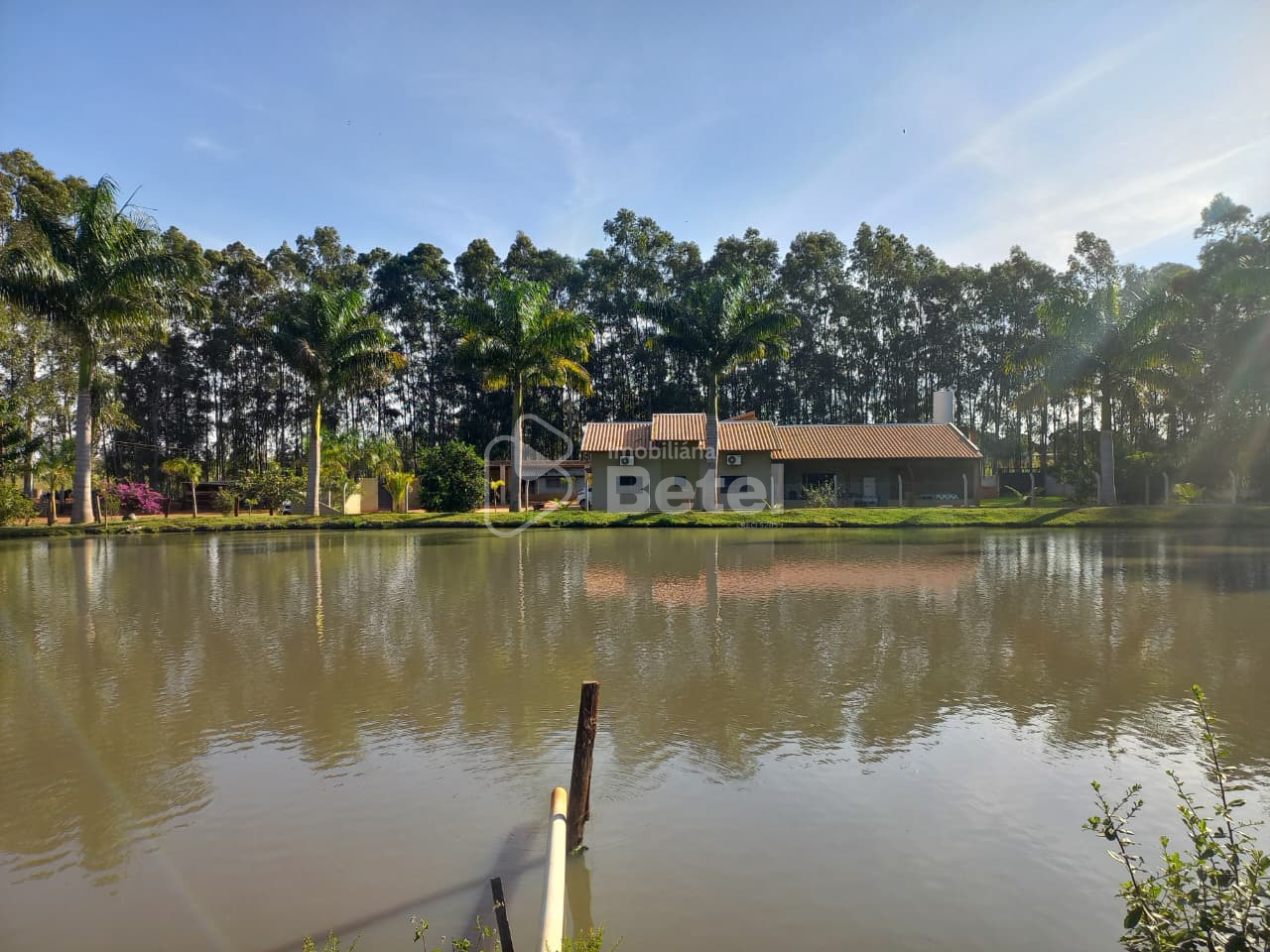 Rural no Parque das Nações II, foto 5 de 36