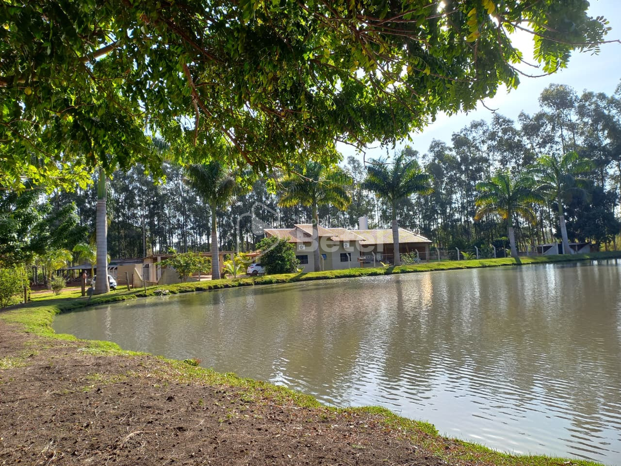 Rural no Parque das Nações II, foto 4 de 36