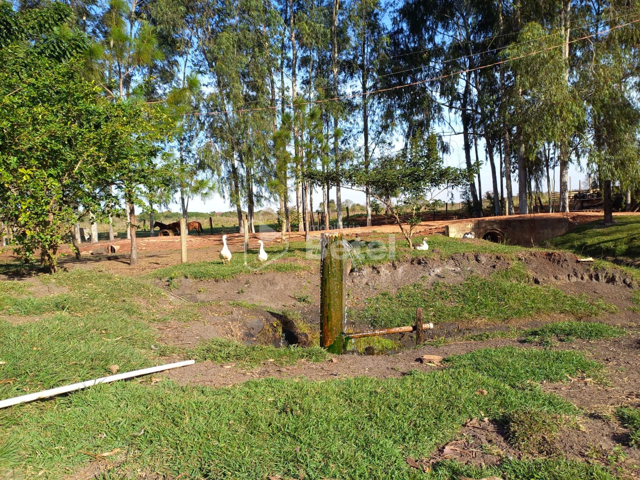Rural no Parque das Nações II, foto 33 de 36