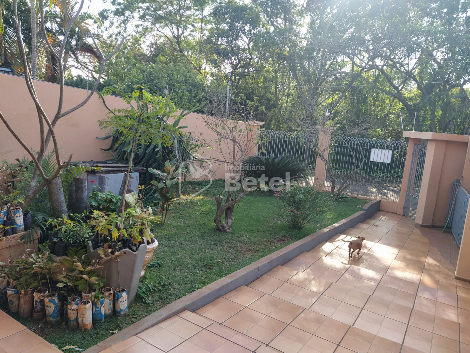 Casa no Jardim Água Boa, foto 9 de 21