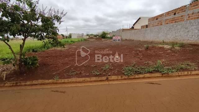 Foto cadastro cód. 995