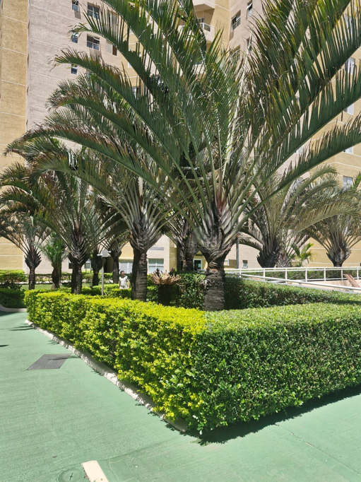 Foto cadastro cód. 1882