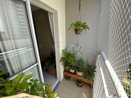 Foto cadastro cód. 478