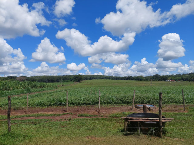 Foto cadastro cód. 352