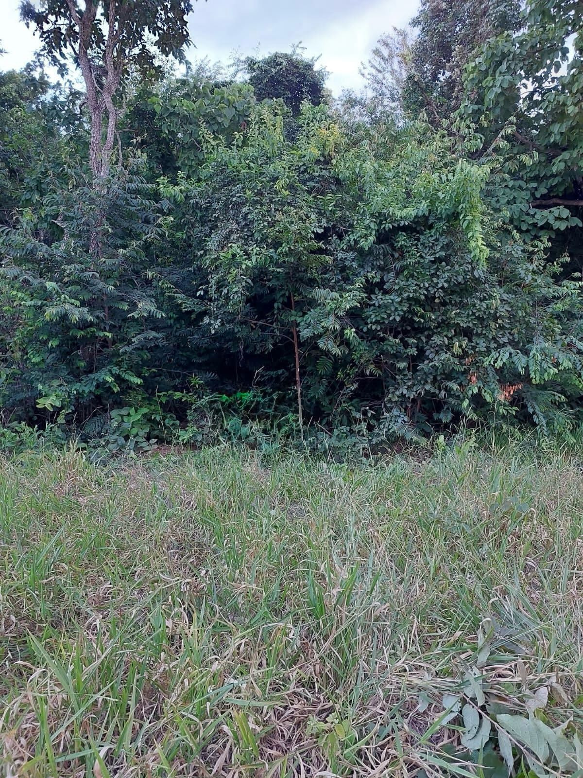 Foto cadastro cód. 648