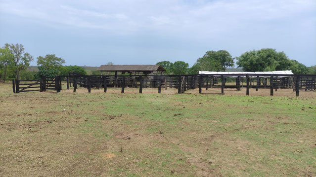 Foto cadastro cód. 1448