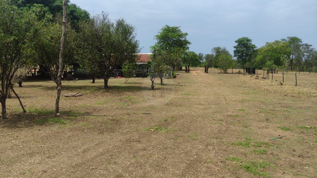 Foto cadastro cód. 1448