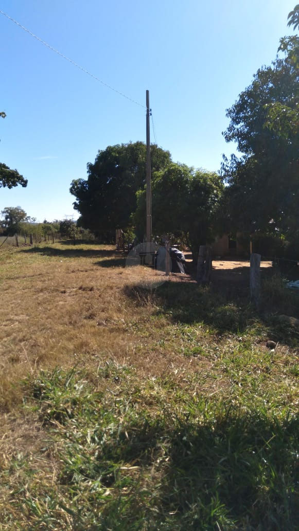 Foto cadastro cód. 1468