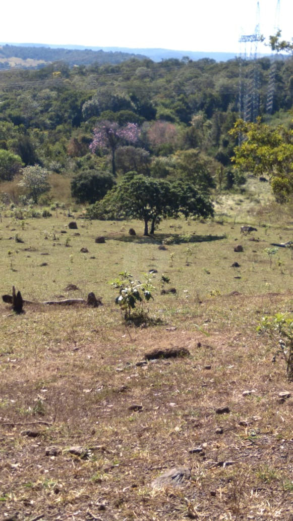 Foto cadastro cód. 1468