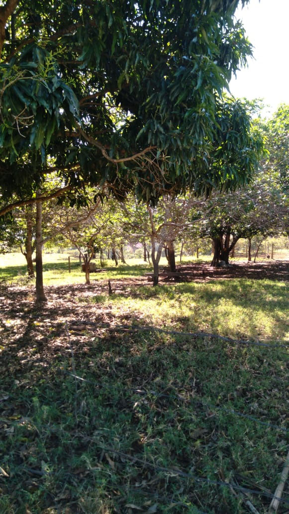 Foto cadastro cód. 1468