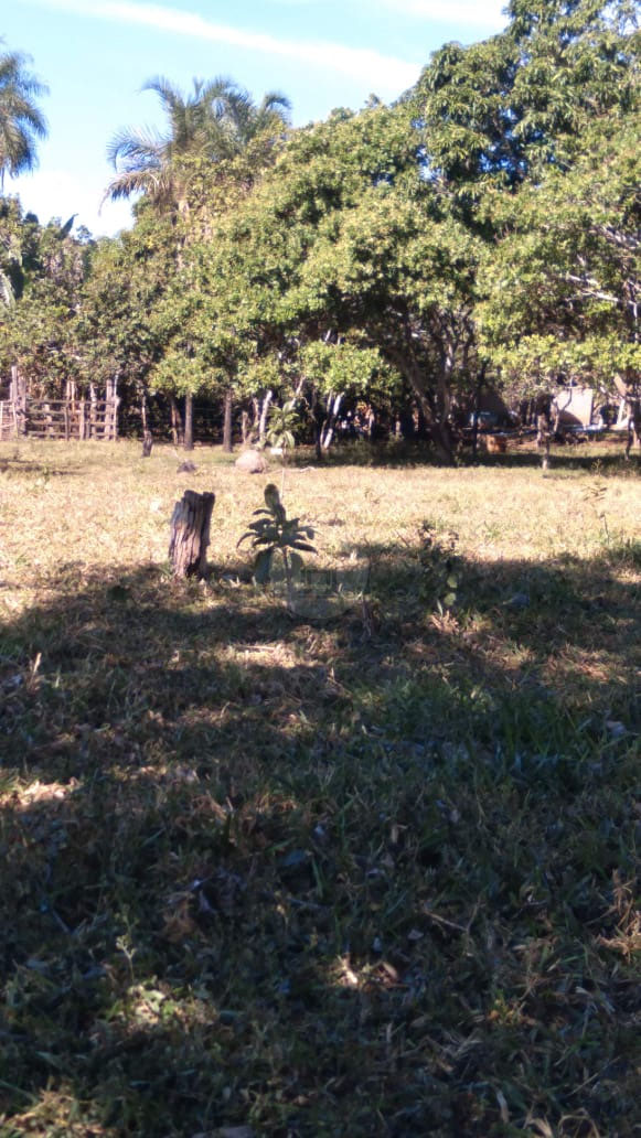 Foto cadastro cód. 1468