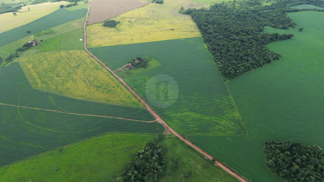 Foto cadastro cód. 1474