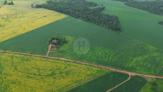 Foto cadastro cód. 1474