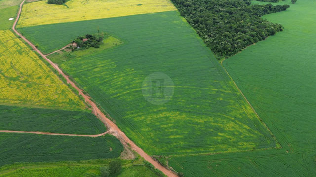 Foto cadastro cód. 1474