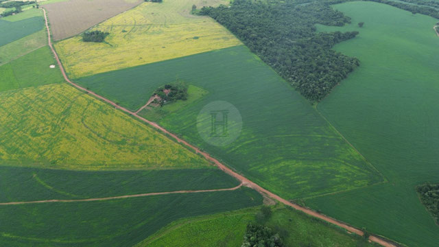 Foto cadastro cód. 1474