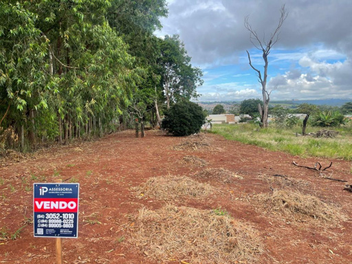 Foto cadastro cód. 1111