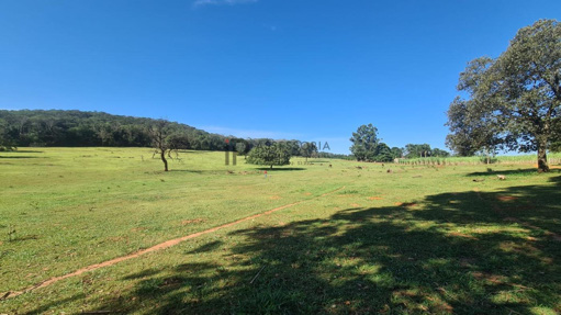 Foto cadastro cód. 1114