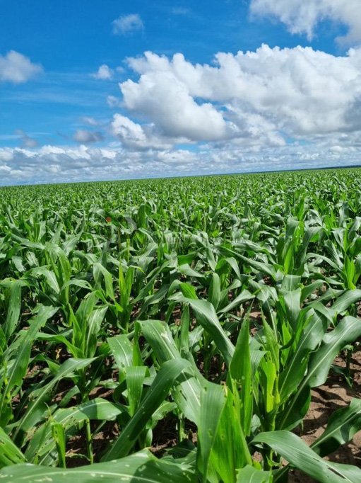 Foto cadastro cód. 1188