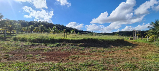 Foto cadastro cód. 1223