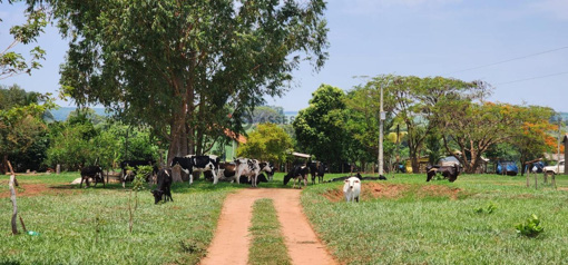 Foto cadastro cód. 1486