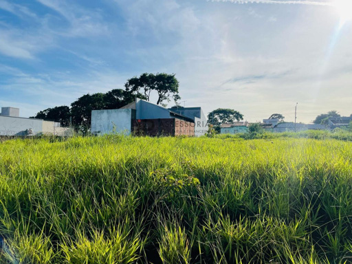 Foto cadastro cód. 1713