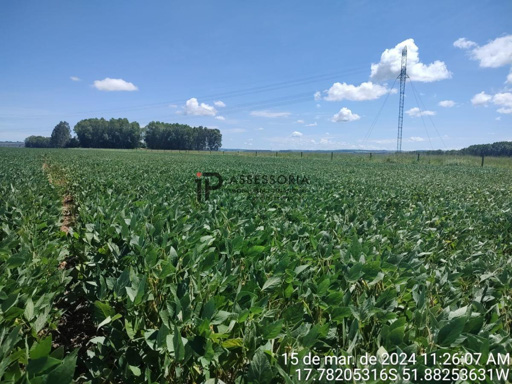 Foto cadastro cód. 1862