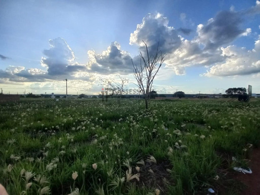 Foto cadastro cód. 2434