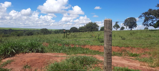 Foto cadastro cód. 2459