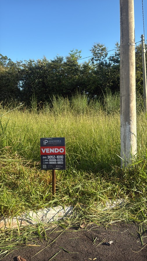 Foto cadastro cód. 2462