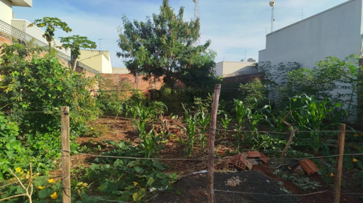 Foto cadastro cód. 2463