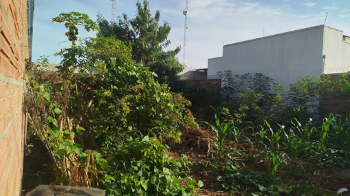 Foto cadastro cód. 2463